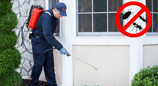 Çat Bit İlaçlama böcek ilaçlama ve haşere kontrolü — ilaclama-tr.com